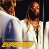 Expensive (feat. Nicki Minaj) by Ty Dolla $ign
