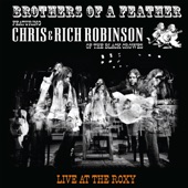 Chris Robinson - Horsehead - Live