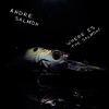 Where Is the Salmon? - Single