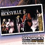 Dan Hicks & The Hot Licks - Sweetheart (Waitress in a Donut Shop)