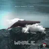 Stream & download Whale - Single