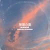 Endless Summer - Single