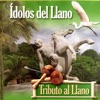 Ídolos Del Llano (Tributo Al Llano)