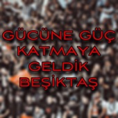 Gücüne Güç Katmaya Geldik Beşiktaş artwork