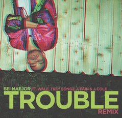 Trouble (Remix) [feat. Wale, Trey Songz, T-Pain, J.Cole & DJ Bay Bay] - Single