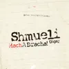 Mach a Bracha! album lyrics, reviews, download