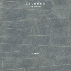 Sonata for 2 Oboes, Bassoon and Basso Continuo, No. 1 in F ZWV 181: II. Allegro Song Lyrics