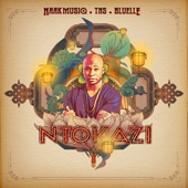 Ntokazi (feat. TNS & Bluelle) artwork