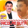 Best of Nicolae Guta, 2013