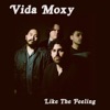 Like the Feeling - Single