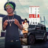 Life Still a Keep artwork