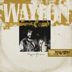 Waylon Jennings & The .357's - Lonesome on'ry and Mean