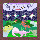 Rare Lizards - EP artwork