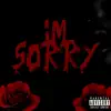 I'm Sorry - Single album lyrics, reviews, download