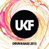 UKF Drum & Bass 2013, 2013