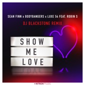 Show Me Love (DJ Blackstone Remix) [feat. Robin S.] - EP artwork