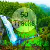 50 Tracks Forest Waterfall & Birds Sounds with Ambient Music Nature Sounds for Meditation Relaxation Spa Study album lyrics, reviews, download