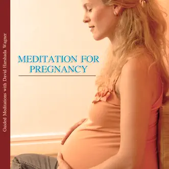 Meditation for Pregnancy - Guided Meditations With David Harshada Wagner by Music for Deep Meditation album reviews, ratings, credits