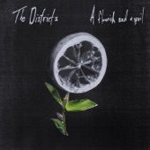 The Districts - Young Blood