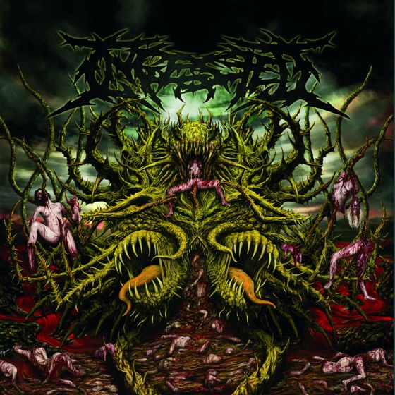 Cover artwork for Contorted Perception