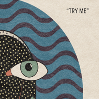 Fiinn - Try Me - Single artwork