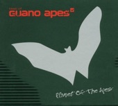 Planet of the Apes - Best of Guano Apes, 2004