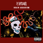 Brain Aquarium artwork