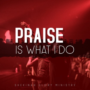 Yes - Praise Is What I Do - Single - Zortam Music