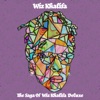 The Saga of Wiz Khalifa (Deluxe)