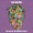 Wiz Khalifa - 961 Music Promo