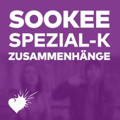 Zusammenhänge (feat. Spezial-K) artwork