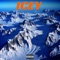 Icey - Young Y & lil swag lyrics