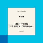 Night Wind (feat. Hava Izmailova) [Austin Ato Remix] artwork
