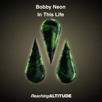 In This Life - Single by Bobby Neon album reviews, ratings, credits