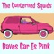 Daves Car Is Pink - The Concerned Squids lyrics