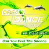 Stream & download Can You Feel the Silence (Remixes) - EP