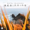 Beginning - Single