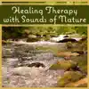 Healing Therapy with Sounds of Nature: Soothing Soundscapes for Sleep and Relaxation (Birds, Ocean Waves, Waterfalls, Rain) album lyrics, reviews, download
