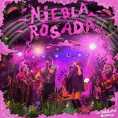 Los Tabaleros - Niebla Rosada (feat. Miranda!)