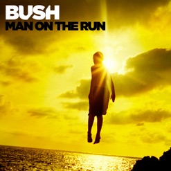 MAN ON THE RUN cover art