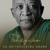 Xandiyekelelwa Nguwe (feat. Zahara & Soweto Gospel Choir) artwork