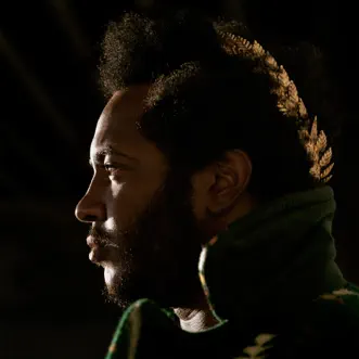 Apocalypse by Thundercat album reviews, ratings, credits