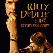 Live in the Lowlands artwork