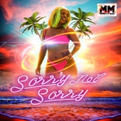 Sorry Not Sorry - Single