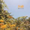 Fall by Dulcie iTunes Track 1