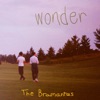 Wonder - Single