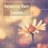 Relaxing Rain Sounds: Best Selection of Gentle Rain Sounds Help You to Relax, Meditate, Sleep