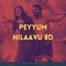 Peyyum Nilaavu 8D (Remix) artwork