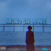 Mind in Awe artwork