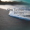Dinamica - Siro Facchin lyrics